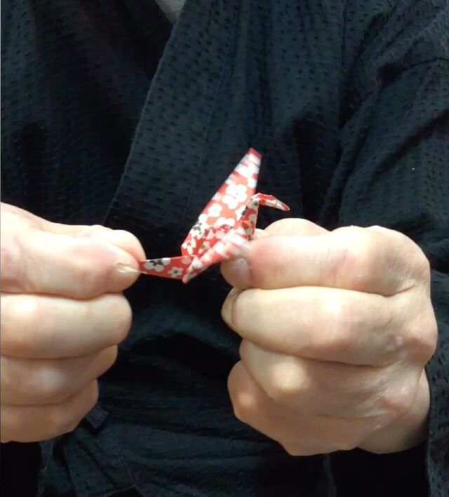 ご近所の紙文房　あらきさんから教えていただいた「はばたく鶴」。
これが、
外国人観光客さんに大ウケです。
お買い上げくださったお客様へプレゼントしています。
#紙文房あらきさんありがとう
#折り紙
#鶴
